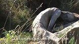 河边发现奇怪生物，行动缓慢有气无力，老人惊呼：这是灾物