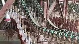 鸭子流水线，真是大开眼界了