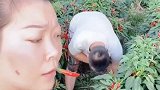 难道我说的最后一句话不在频道上