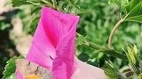 生活百般滋味、我们都要笑着面对。