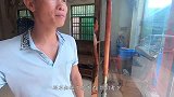 厨子赶海邂逅雷暴雨，巨浪下抓到拍上岸的大海鱼，赶紧带回家抢救