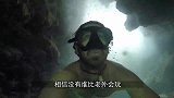 未知游戏挑战，哪个鱼缸没有“危险”？网友：刺激！