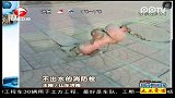 不出水的消防栓