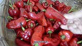 来自荆门民间乡土美食，油泡辣椒，做出了辣椒味道的最高境界