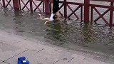 一位奶奶带着小女孩儿在河边游泳！