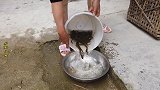 小白去看外婆，女儿给妈妈买了啥？外婆看了不乐意，还数落起妈妈
