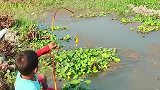 孩子池塘边钓鱼，不料真有大鱼上钩，提都提不动！