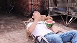 金毛想吃男主的西瓜，结局太搞笑了