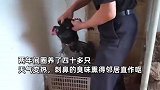 市中心住宅不住人专养鸡？邻居投诉味道刺鼻令人作呕，社区：属实，已清走