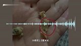 女子网购蒸饺吃出指甲盖大玻璃，商家让扔掉退款，当事人：食品安全问题，已投诉