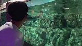 张耀的海底世界一日游，沉醉于这里的奇妙动物