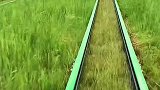 一公里的滑草，必须第一名！