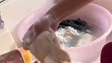 女子帮异地男友洗袜子，攒了七天邮过来的