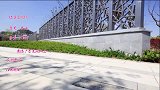 零基础入门广场舞《偷偷爱着你》送给您，愿您幸福快乐每一天