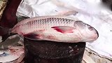 削鱼鳞，暴殄天物，要不是视频，根本不敢相信