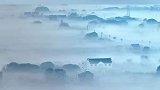 晨雾中的湖州善琏镇风景，原来水墨江南是写实