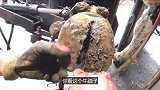 牛蹄专家一眼看出，这头牛表面没什么问题，脚上一定有病！