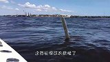 本以为是大鱼上钩，拉上岸后一看，小伙乐坏了！