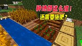 我的世界贝爷生存07：种地都这么难？总算知道便便是用来干什么