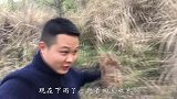 二哥做的“蹄膀”，三哥偷吃一大块，馋坏了