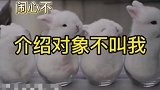 有好事不叫我笑一遍不开心兔年大吉