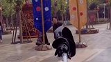 靳凡 9.24的vlog-欢乐谷之旅