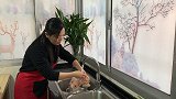 鸡肉好吃有诀窍，不炒不炸不焯水不过油，无腥味，出锅真的太香了