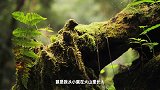 《我也想过我刷到的人生啊》第1集
