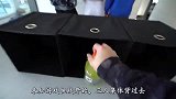 熊孩子挑战“未知饮料”，对错全凭运气，猛吸一口后欲哭无泪！