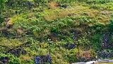 贵州一老人独居山上，过着与世无争的生活，羡慕吧？