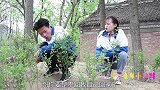 来福偷穿甜甜的新裙子，被妈妈发现后一顿教训！