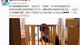 罗仲谦跪地组装婴儿床，杨怡笑称享受女皇般的生活