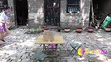 短剧：小鸡宝宝3：小伙伴们给小鸡搭房子，我们的新成员有新家了