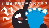 一分钟告诉你小脚趾甲有两瓣的中国人都是被命运选中之人吗？