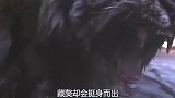 八只藏獒咬不过一只豹子，3死5伤谁说的藏獒是犬中之王