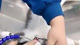 做绝育的小猫咪……哈哈哈哈哈哈生无可恋……