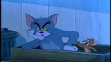猫和老鼠：老鼠猫咪合伙演了一出戏，猫咪夺回在女主人心中的地位