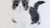 简单几笔可爱的小猫咪就出现啦