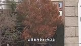 北大试点改革实行“等级制”考评：不要把学生捆绑在成绩上