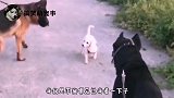 搞笑视频：怎么这么没素质呢，垃圾怎么能乱扔呢