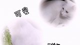 确认过眼神，我就是那个长得一般的