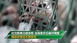 印度隔离中心画面曝光：条件简陋 民众隔着门拼命伸手抢食