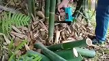 牛人发明的电动无刷剪竹机器，恕我直言，可以申请专利了！