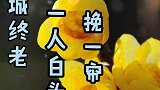 你若安好，东风不寒！