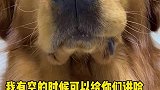 没钱了就跟我说一声就行了