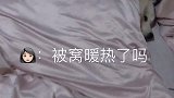 让狗子给主人暖被窝，女主人你的良心不会痛吗