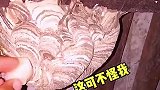 马蜂窝怎么堵上了，看你这次往哪跑