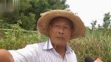狗狗跳河拽倒电动车 广东一对父子落水双双溺亡