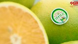 《物华天宝》：海南琼中绿橙
