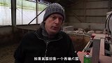 美国人基本不吃猪肉，为什么却成了养猪大国？看完彻底服了！